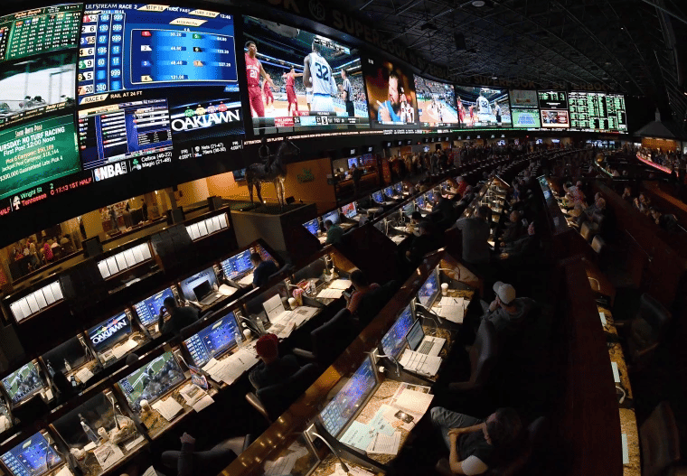 best-sports-betting-twitter-accounts-sportskeeda-stories
