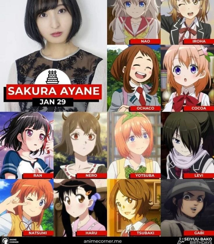 Spy X Family Anime Voice Actors 60 Photos Moonagedaydream.film