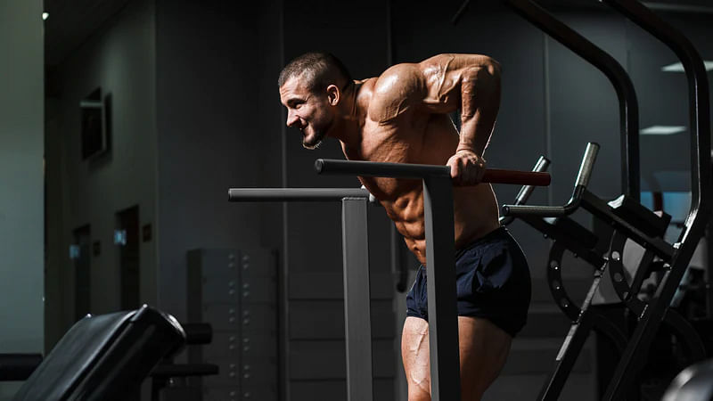 Unlock Upper Body Power By Mastering Tricep Dips with DMoose