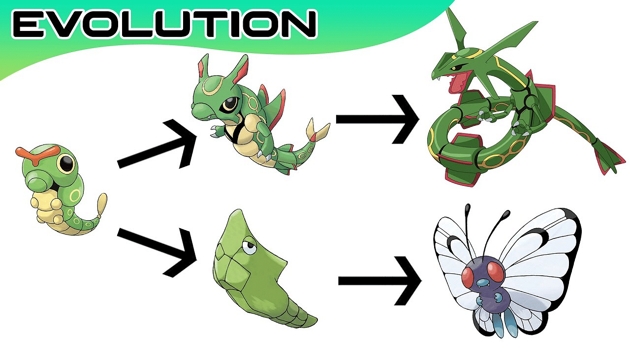 pokemon evolution chart