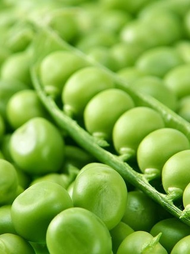 Power Up with Plant Protein 7 HighProtein Vegetables to Fuel Your Day
