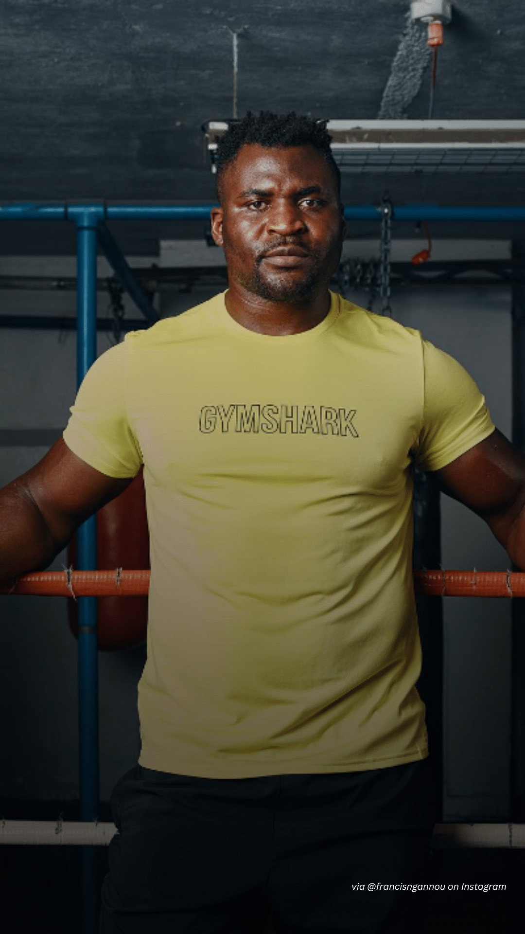 Francis Ngannou 'seals' agreement with PFL: record, net worth