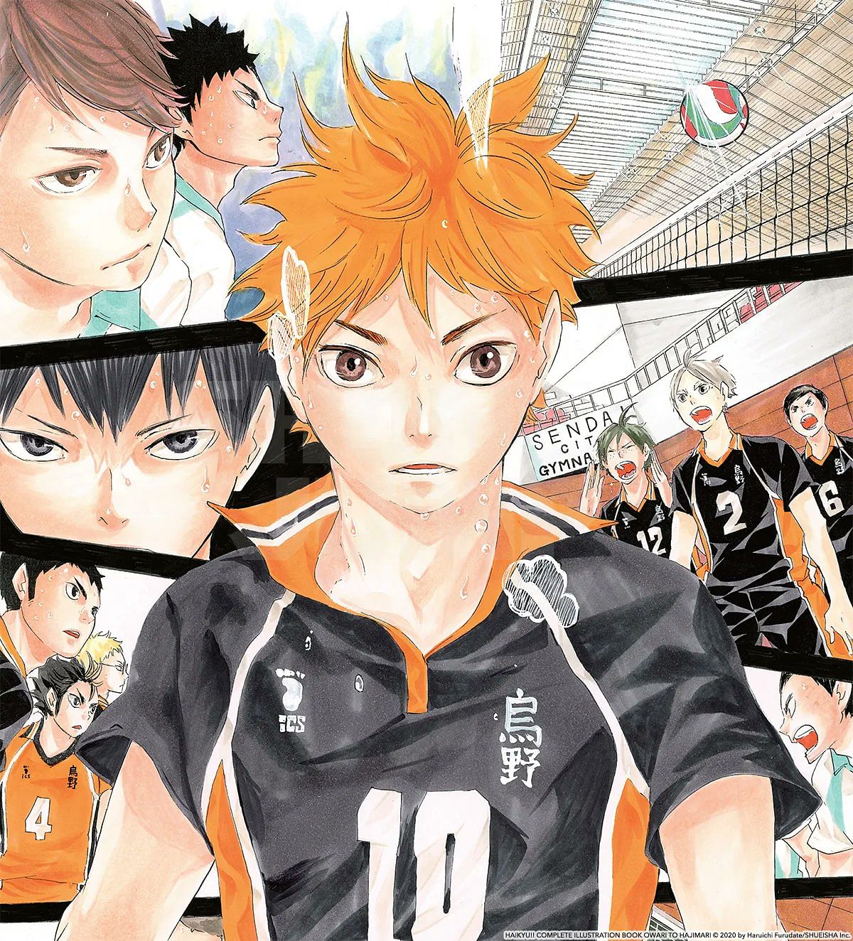 The Best Volleyball Anime: Where To Find Your Favorite Series |  VanguardVolleyball.com