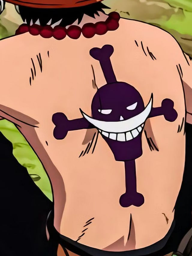 What Does Aces Tattoo ASCE Mean From One Piece Explained