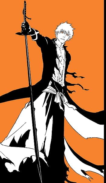 Bleach Differences between Manga and Anime 