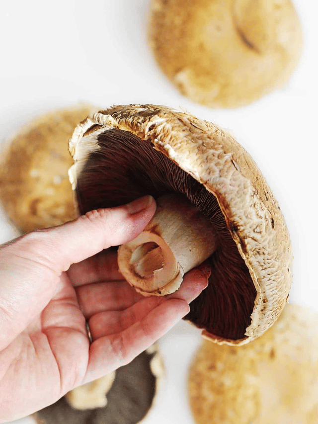 Portobello Mushrooms Risks and Drawbacks Sportskeeda Stories