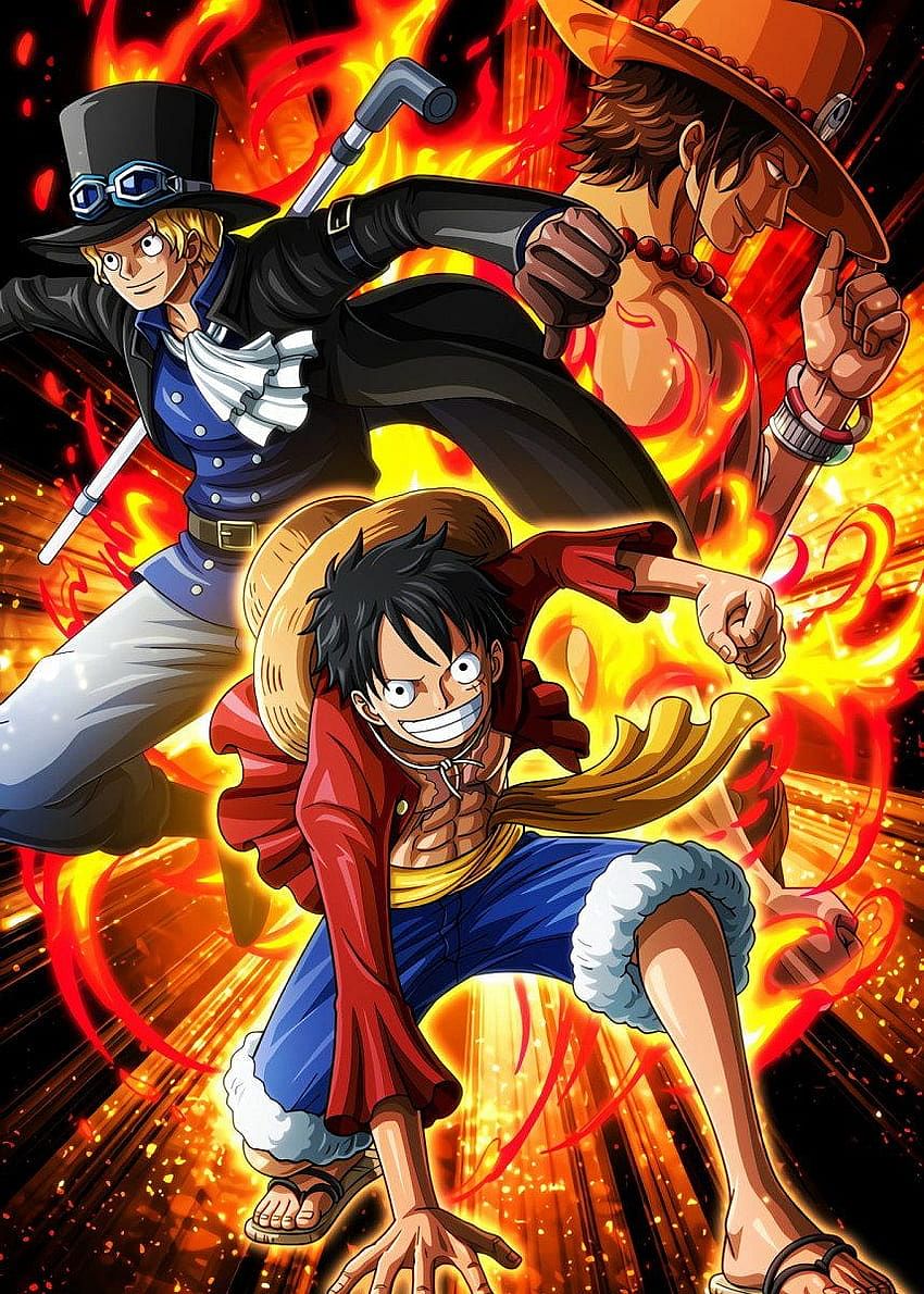 one piece characters wallpaper