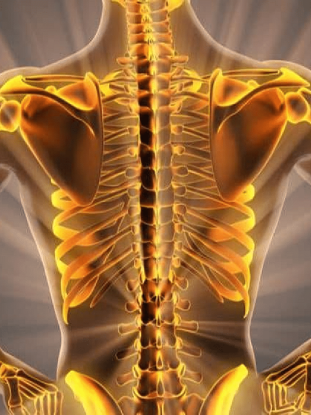 Top 6 Foods To Avoid For Better Bone Health - Sportskeeda Stories